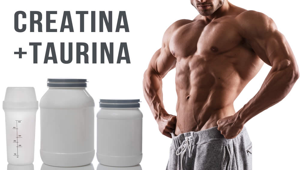 Creatina e Taurina