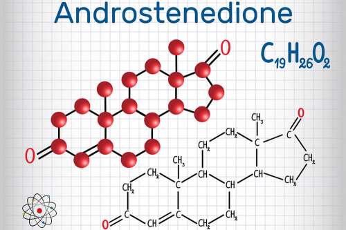 In questo articolo parliamo dell'Androstenedione e delle sue Funzioni, analizzandone il Ruolo Biologico nella donna e nell'uomo. Analisi del Sangue e Valori Normali: Cause di Valori Troppo Alti o Troppo Bassi. Uso come Anabolizzante