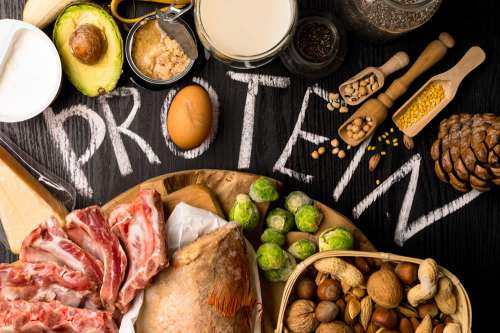 dieta proteica)