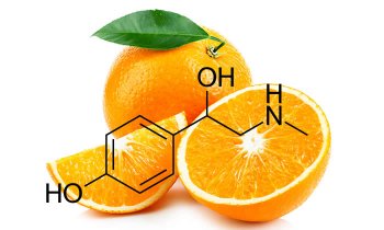 In questo articolo parliamo dell'Arancio Amaro, un frutto da cui si ottiene un estratto ricco di sinefrina particolarmente utile per dimagrire