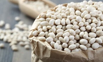 In questo articolo parliamo dell'Estratto di Fagiolo Bianco, utile nel controllo della glicemia e del peso corporeo, grazie alla capacità di ridurre l'assorbimento dei carboidrati nell'intestino.
