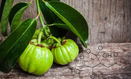 la pura garcinia cambogia funziona per dimagrire la pura garcinia cambogia funziona per dimagrire