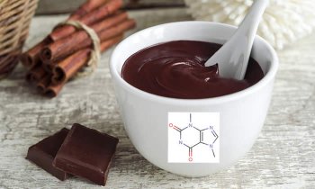 In questo articolo parliamo della Teobromina, principio attivo tipico del cacao utilizzato come integratore termogenico-stimolante, nei protocolli dietetici finalizzati al dimagrimento e al controllo del peso corporeo.