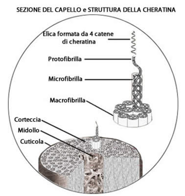 Cheratina