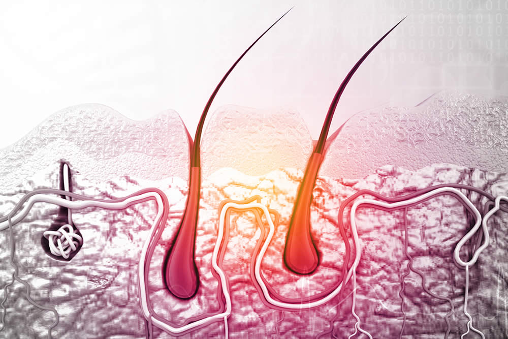 Sebo e Lipidi Cutanei