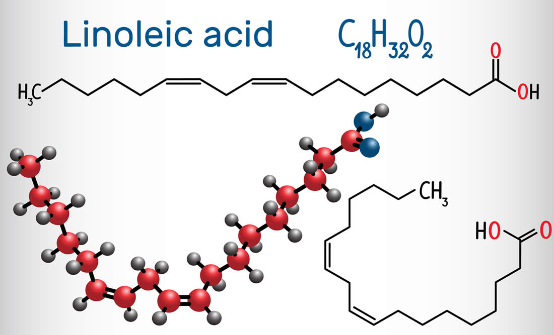 acido-linoleico-struttura-chimica
