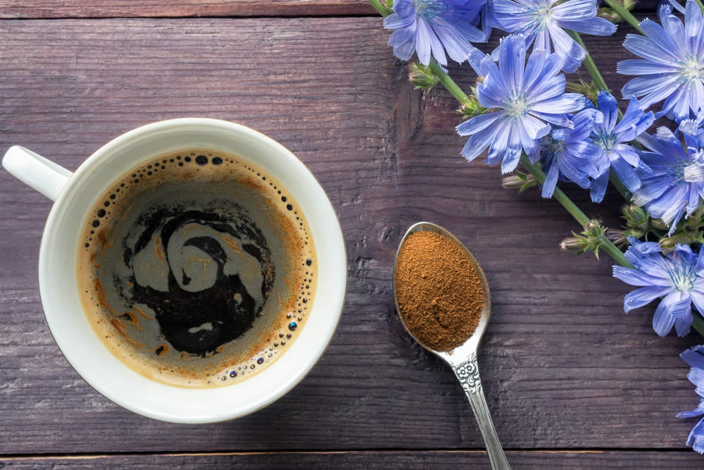 Caffè di Cicoria 2019 | Proprietà, Benefici, Effetti Collaterali