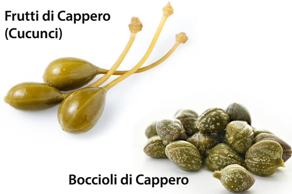 Capperi - Boccioli e Frutti di Cappero - Cucunci