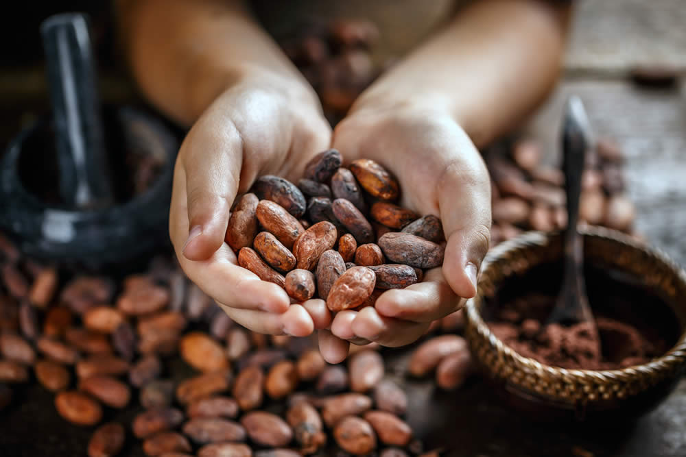 Fave di Cacao