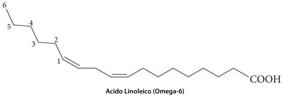 grassi omega