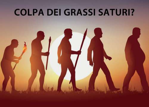 In questo articolo parliamo dei Grassi Saturi, spiegando cosa sono e quali sono gli Alimenti più Ricchi di Grassi Saturi. Con il supporto di 70 Studi, smentiamo (o almeno ridimensioniamo) il