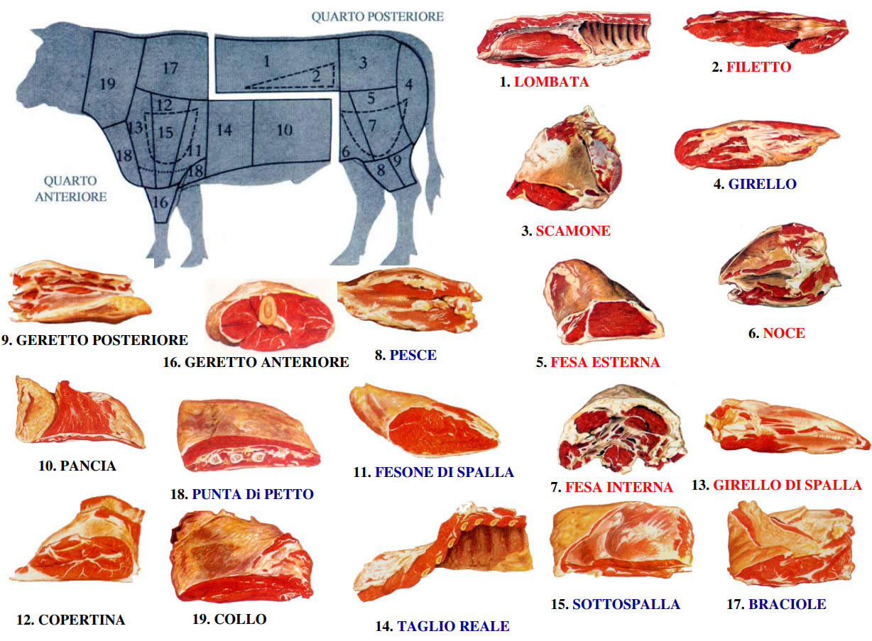 Manzo Tagli Propriet Nutrizionali Salute