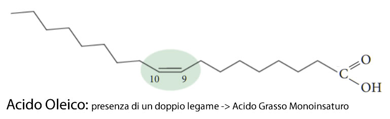 Acido Oleico - Struttura Chimica