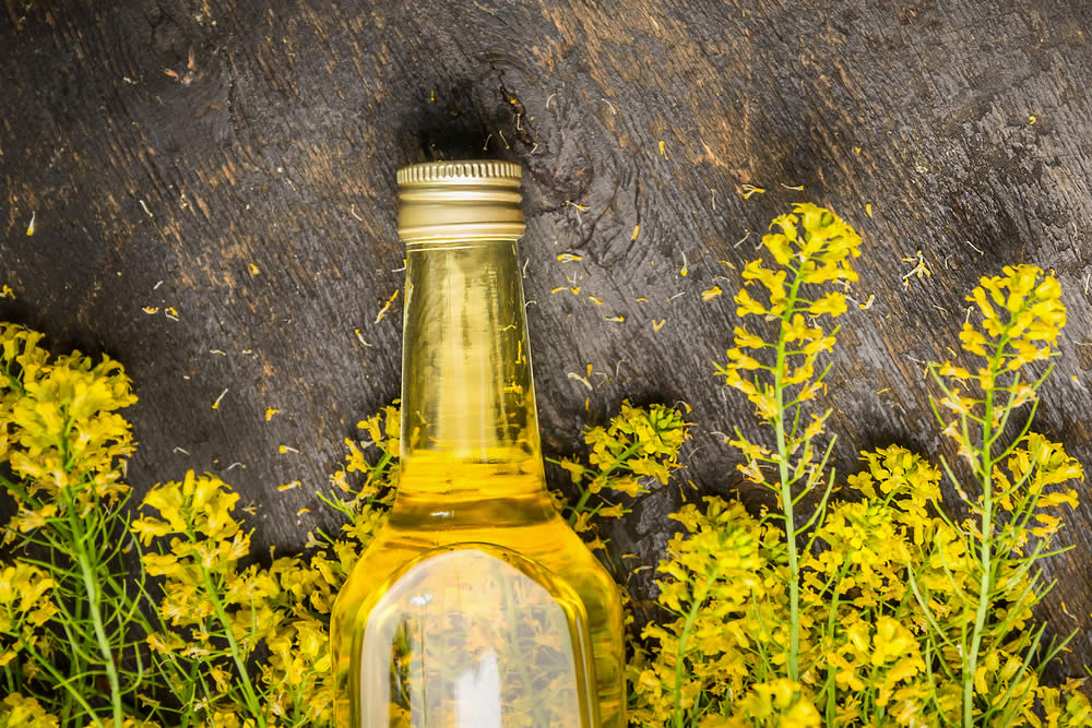 Olio di Colza | Olio di Canola | Meglio dell'Olio di Oliva? Fa Male?