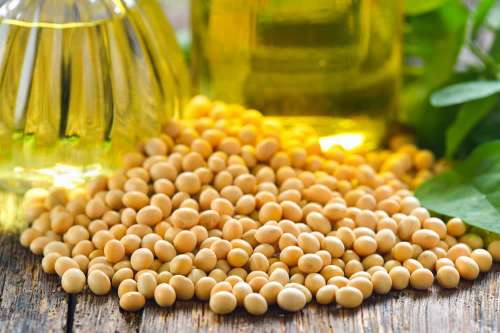 Olio di Soia | Proprietà Nutrizionali | Usi in Cucina | Fa Male?