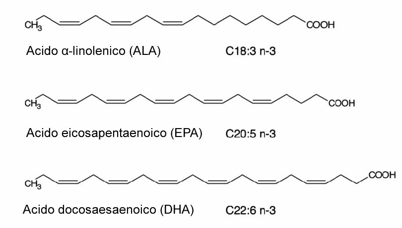 Omega 3 Struttura