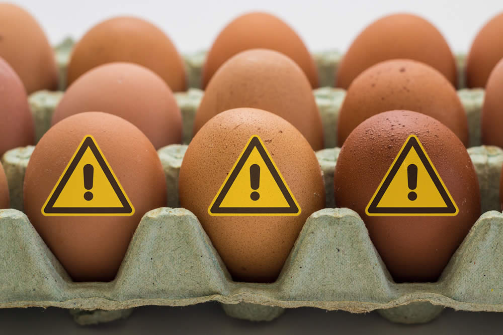 Uova Contaminate 2019 | Quali sono i Rischi delle Uova? Fanno Male?