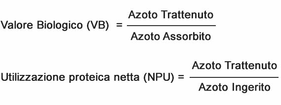 Valore Biologico