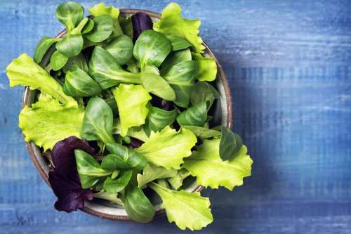 In questo articolo parliamo di Verdure a Foglia Verde, delle loro Proprietà Nutrizionali, dell'Uso in Cucina e dei Benefici per Dimagrire e Mantenersi in Salute
