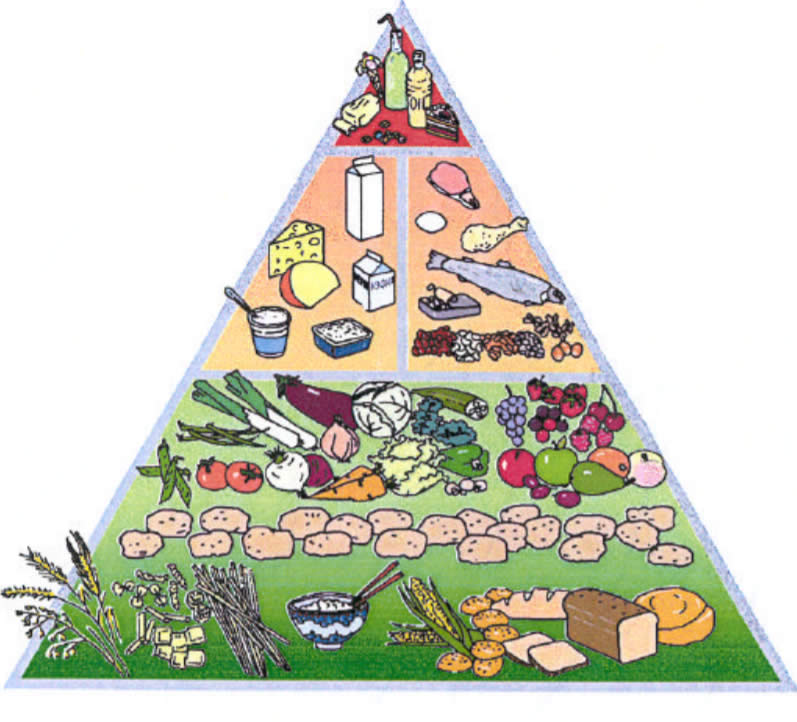 Piramide Alimentare OMS