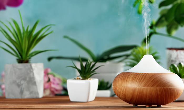 Perché Comprare un Diffusore d'Ambiente - Profumatori a Confronto