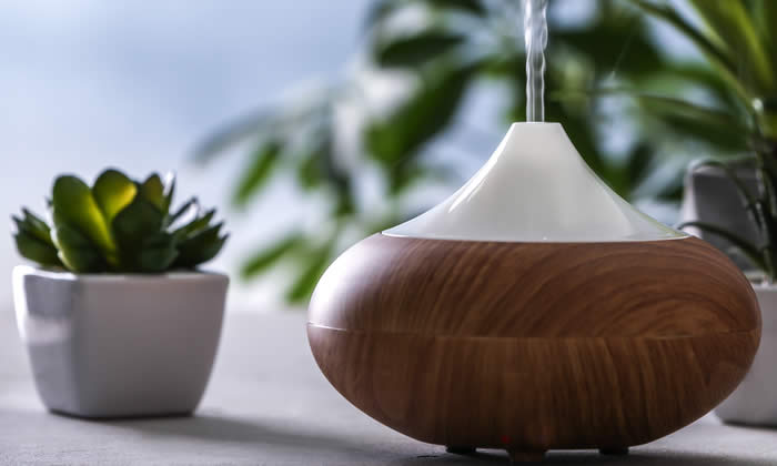 Migliori Diffusori d'Ambiente per Case Rustiche e in Legno