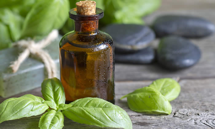 Olio Essenziale di Basilico