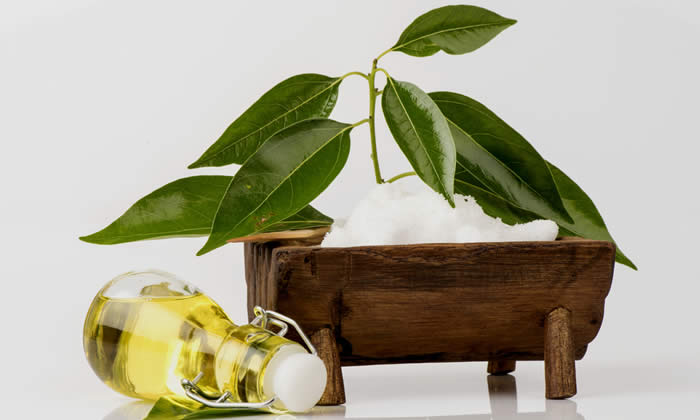 Olio Essenziale di Canfora