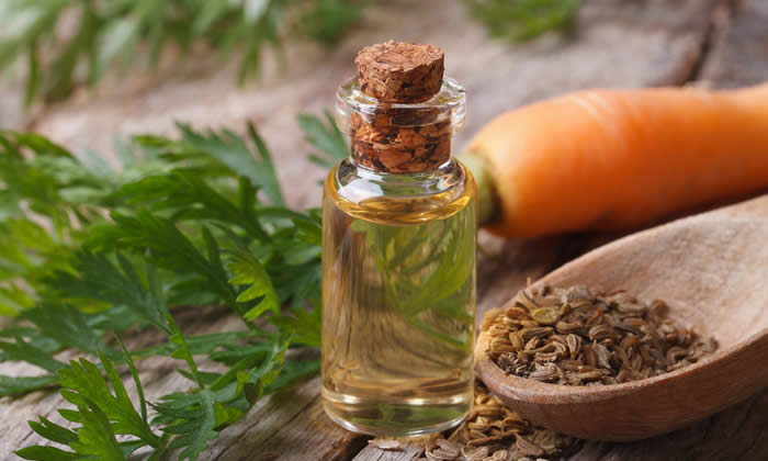 Olio Essenziale di Carota
