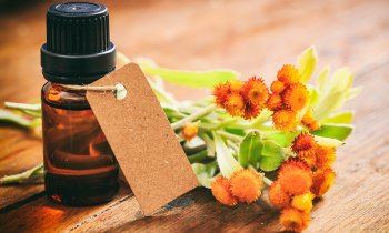 olio di eucalipto ed erezione