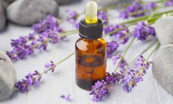 Olio Essenziale Di Lavanda Proprietà Curative E Benefici
