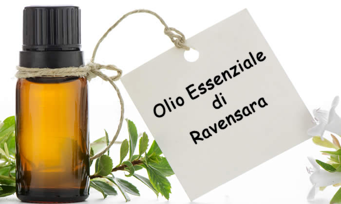 Olio Essenziale di Ravensara