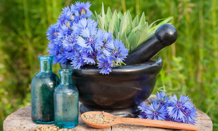 Olio Essenziale di Issopo