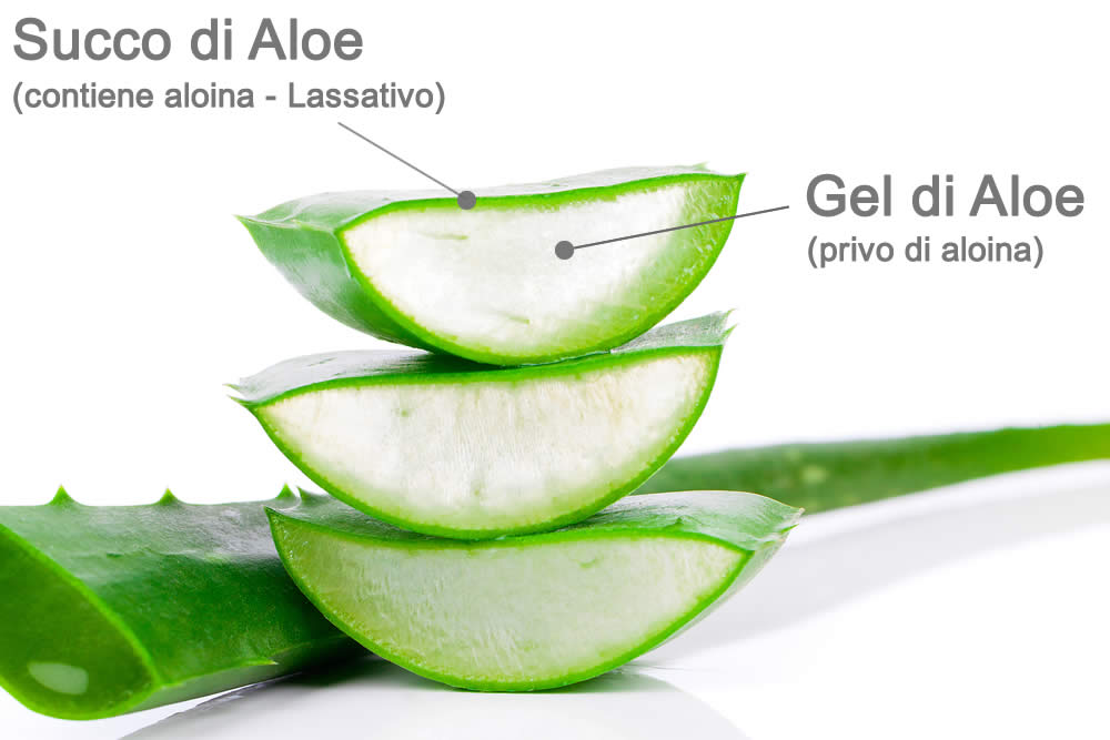 Aloe Vera - Succo e Gel