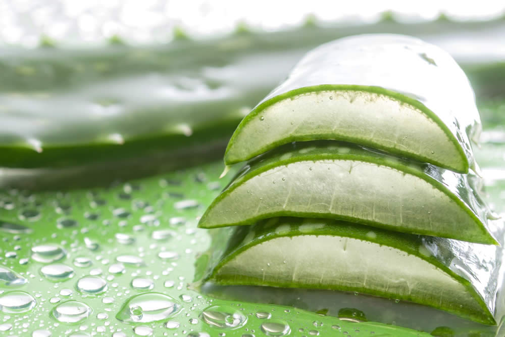 Aloe Vera 2019 | Fa Bene? Fa Male? | Studi Anti-Bufala | Proprietà