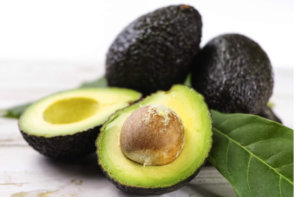 Avocado Hass