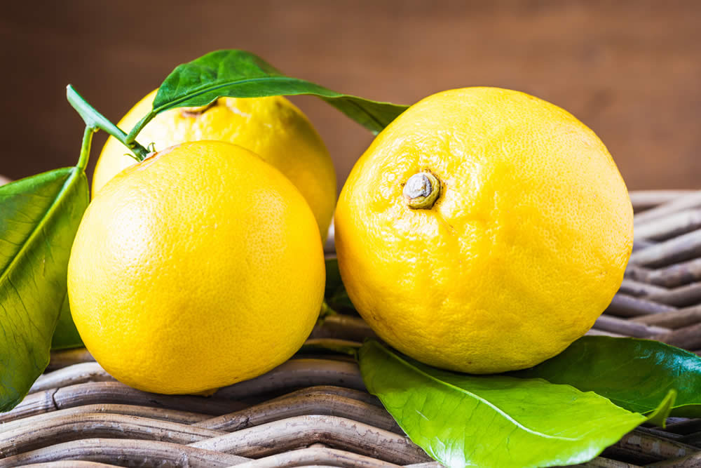 Bergamotto 2019 | Proprietà, Benefici | Olio Essenziale, Salute