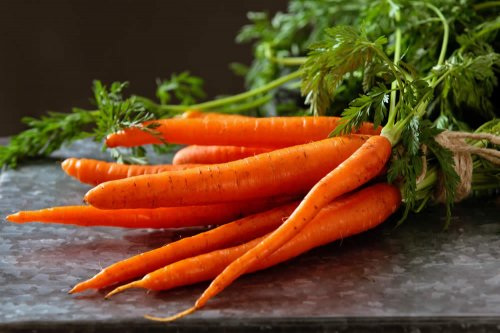 carote ed erezione)
