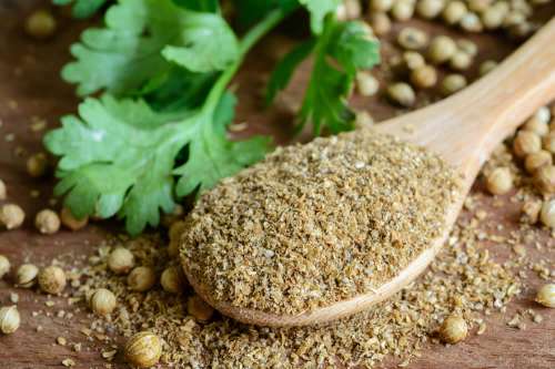 Coriandolo Proprieta E Salute Foglie E Semi In Cucina