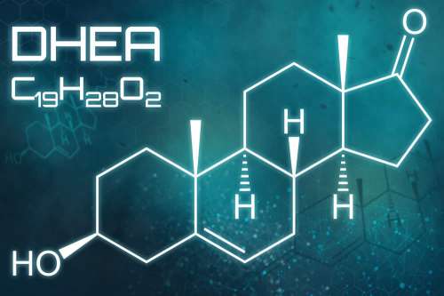 In questo articolo parliamo dell'ormone DHEA, analizzandone il ruolo biologico e gli effetti sulla salute. Potenziali benefici di un'integrazione di DHEA, efficacia reale e presunta. Potenziali effetti collaterali