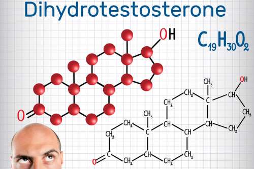 In questo articolo parliamo del Diidrotestosterone (DHT), delle sue Funzioni Biologiche e delle Conseguenze di Valori Alti o Bassi di quest'ormone. Farmaci e Integratori Utili per Abbassare o Aumentare i livelli di DHT