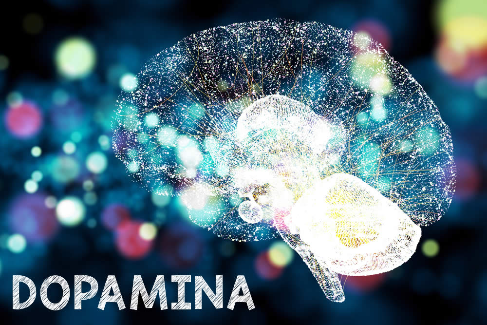 Dopamina 2019 | Cos'è? A Cosa Serve? Dopamina e Piacere
