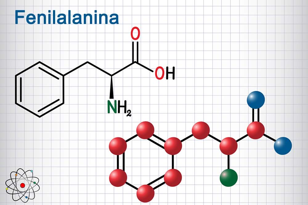 Fenilalanina