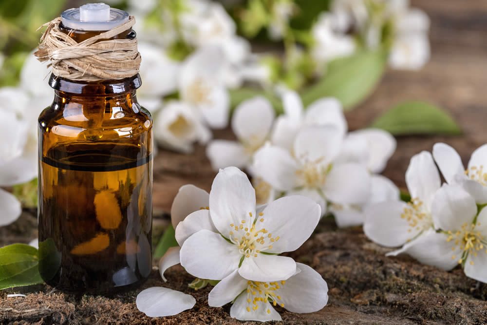 Gelsomino 2019 | Proprietà | Olio Essenziale, Tè al Gelsomino