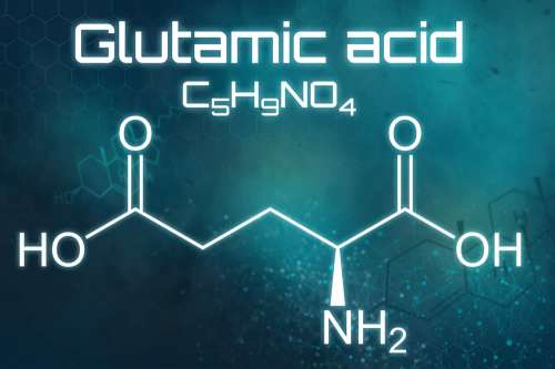 In questo articolo parliamo del Glutammato (Acido Glutammico), delle sue Funzioni e delle sue Proprietà, analizzando Alimenti Apportatori e Importanza per Muscoli e Cervello