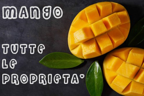In questo articolo analizziamo le Proprietà Nutrizionali e Salutistiche del Mango. Sapore, Coltivazione e Usi in Cucina. Ricchezza di Nutrienti ed Effetti Antiossidanti di Polifenoli e Mangiferina. Studi Anti-Bufala, Dosi e Consigli per la tua Salute