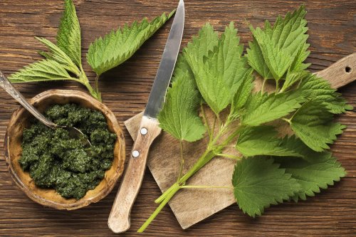 miglior trattamento a base di erbe per la prostatite