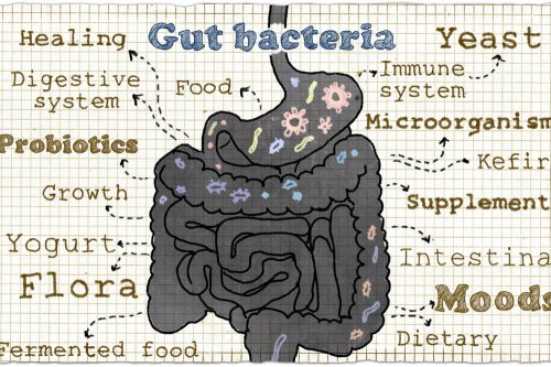 In questo articolo parliamo dei Probiotici, delle loro Proprietà e dei potenziali Benefici per la Salute dell'Intestino e dell'Intero organismo. Con Evidenze Scientifiche, Dosaggi, Modo d'Uso, Controindicazioni ed Effetti Collaterali