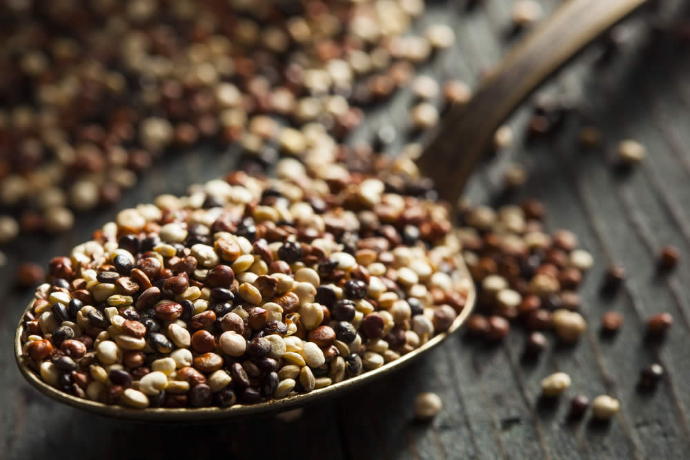 Quinoa 2019 | Alimento Miracoloso o Bufala Commerciale? Proprietà