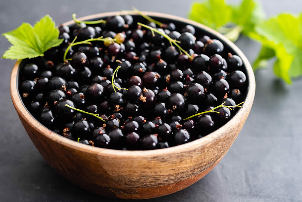 Ribes Nero 2019 | Proprietà, Benefici | Usi in Cucina e Salute